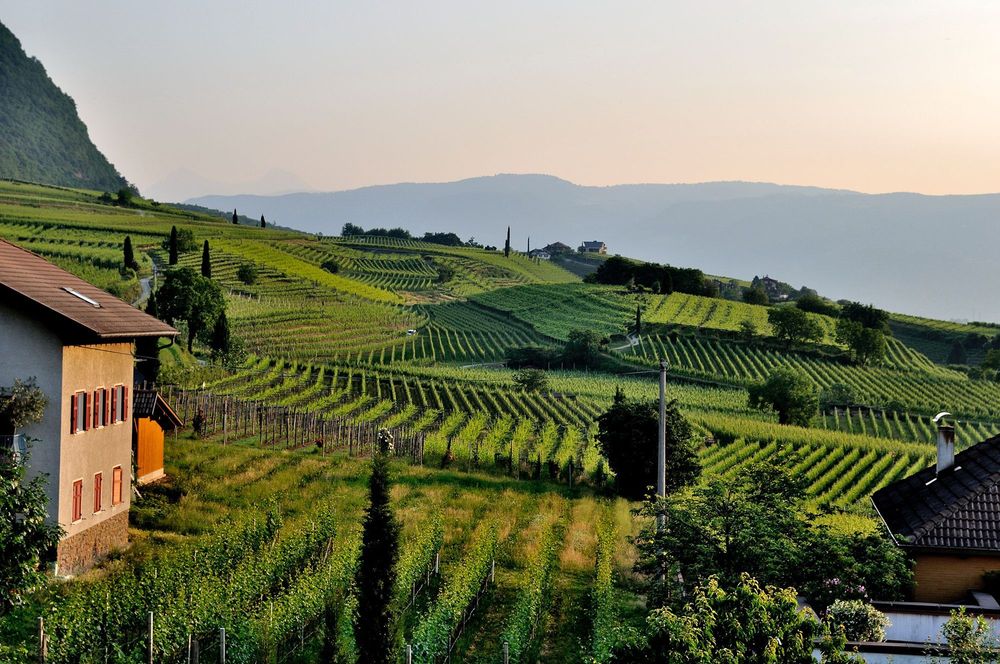 image-agriculture.jpg